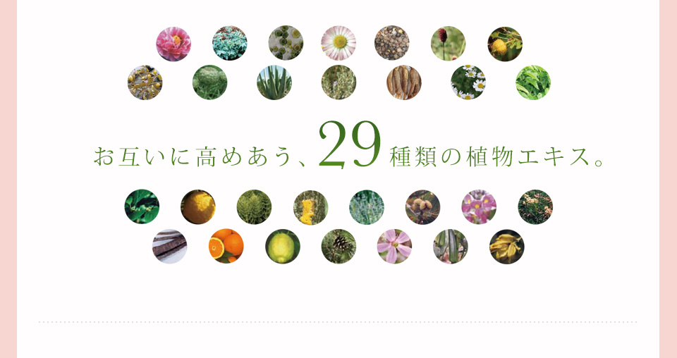 お互いに高めあう、29種類の植物エキス。
