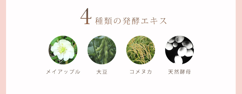 4種類の発酵エキス