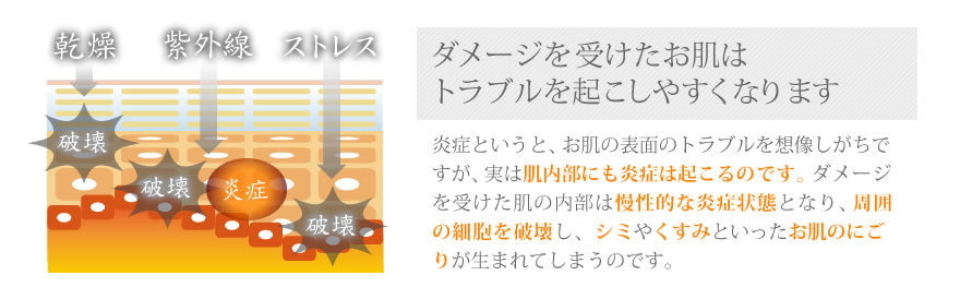 ���᡼�����������ȩ�ϥȥ�֥�򵯤����䤹���ʤ���ޤ���