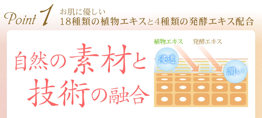 �ݥ���ȣ�����ȩ��ͥ������������ο�ʪ�������ȣ������ȯ�ڥ������۹�