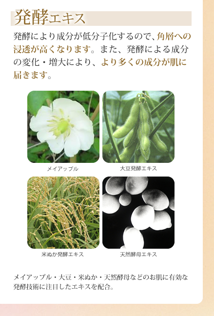 ȯ�ڥ�������ȯ�ڤˤ����ʬ����ʬ�Ҳ�����Τǡ��Ѽ��ؤο�Ʃ���⤯�ʤ�ޤ����ޤ���ȯ�ڤˤ����ʬ���Ѳ�������ˤ�ꡢ���¿������ʬ��ȩ���Ϥ��ޤ���