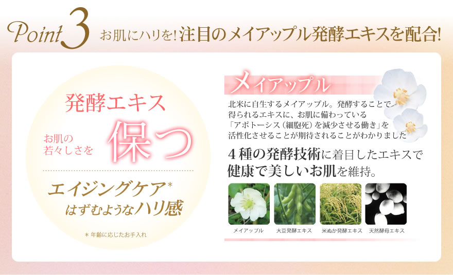 �ݥ���ȣ�����ȩ�˥ϥ�����ܤΥᥤ���åץ�ȯ�ڥ��������۹硪�����ȯ�ڵ��Ѥ����ܤ����������Ƿ򹯤���������ȩ��ݻ���