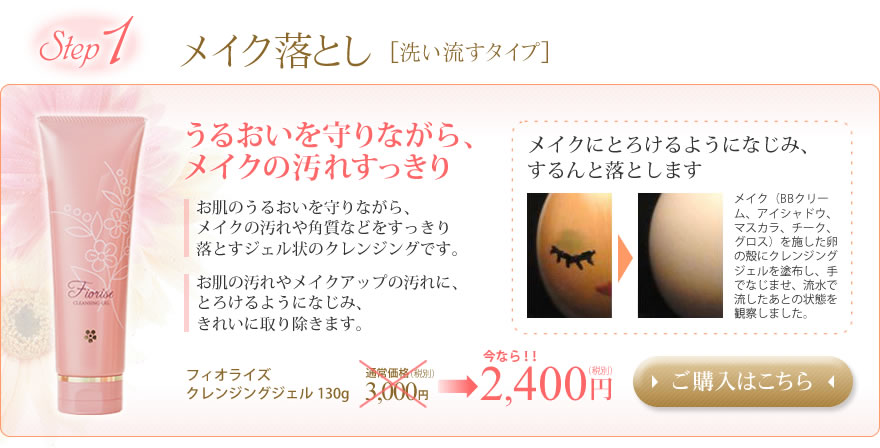 �ᥤ����Ȥ�[����ή��������]��Fiorise �ե����饤��������󥸥󥰥����롡���뤪������ʤ��顢�ᥤ���α��줹�ä���