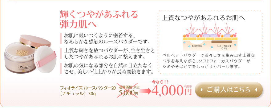 �롼���ѥ�������Fiorise �ե����饤����ʴ�����������ʥ����롡�����Ĥ䤬���դ������ȩ��